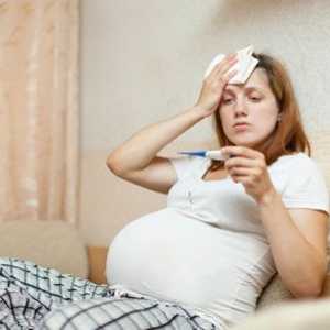 Červi léčby u těhotných žen, co dělat s hlístů?