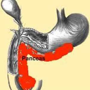 Léčení pankreatitidy (pankreatu), v akutním stadiu