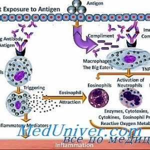 Mechanismy alergických reakcí. Patogeneze alergií