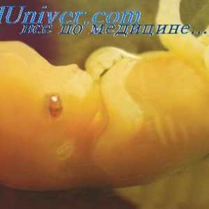 Urogenitálního sinu embryo. Vývoj pohlavních orgánů plodu