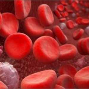 Krvácivé poruchy: obecné předpisy, symptomy, příčiny