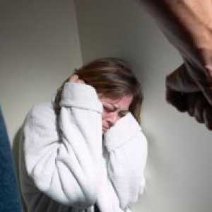 Domácí násilí, sexuální zneužívání dětí