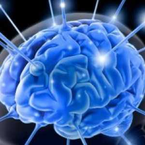 Gliových systém mozek
