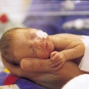 Nekrotizující enterokolitida novorozenců