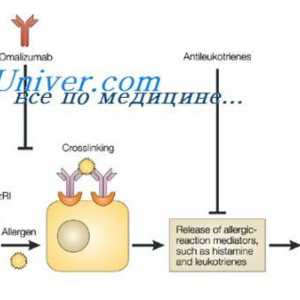 Paleta alergenů. pylové alergeny
