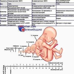Odhad porodního potratu. Klasifikace plodu retardace růstu