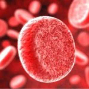 Stanovení počtu krevních destiček v krvi