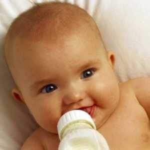 Organizace krmení mléka v prvním roce života