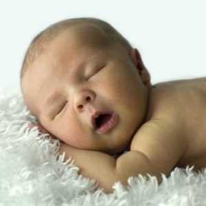Organizace dítě spí v prvním roce života