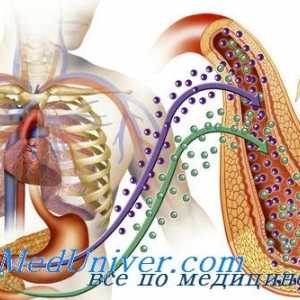 Dýchací systém, trávicí systém při diabetu. diabetes hemochromatóza