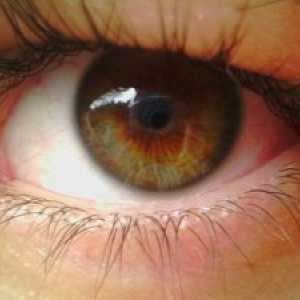 Pigmentového retinální degenerace ošetření očí