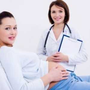 Pátá nemoc a těhotenství
