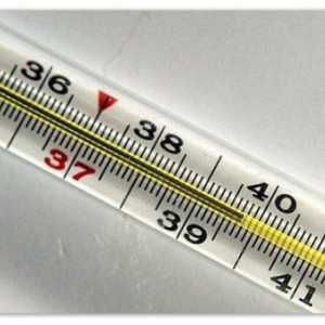 Průjem a teplota 39-40 se zvracením u dítěte a dospělého