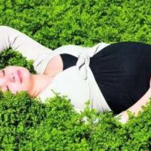 Točení během těhotenství