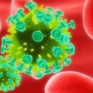 Rakovina u HIV infikovaných