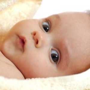 Časný vývoj kojence mozku