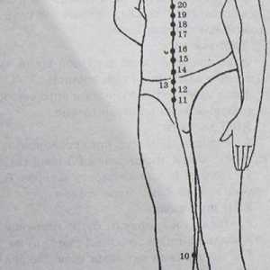 Umístění a anatomie těla bodů pro aromaterapii. ledviny Meridian