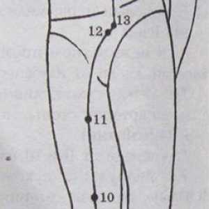 Umístění a anatomie těla bodů pro aromaterapii. Meridian pankreas slezina