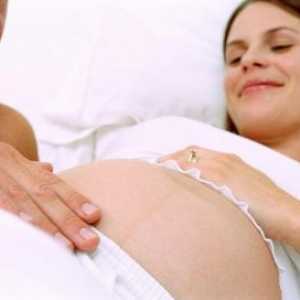 Role doprovázející osoby při porodu