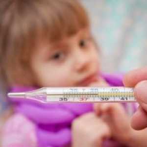 Péče o nemocné děti s akutními respiračními infekcemi (ARI)