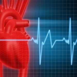 Sinusová tachykardie srdce: léčba, příznaky, příčiny, příznaky