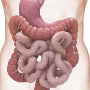 Sklerodermie a gastrointestinální trakt