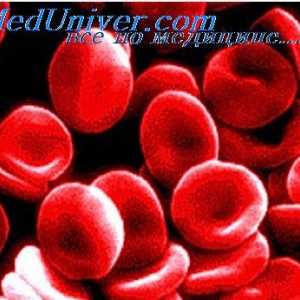 Perniciózní anémie. tvorba hemoglobin