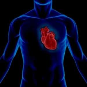 Statistiky kardiovaskulární systém