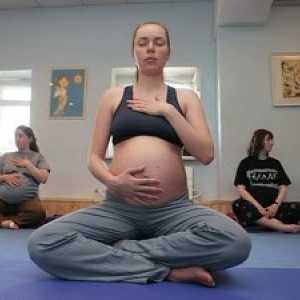 Doporučení pro tělocvičny pro těhotné ženy a nové matky. Jak se zbavit břicha a vytáhněte prsa po…