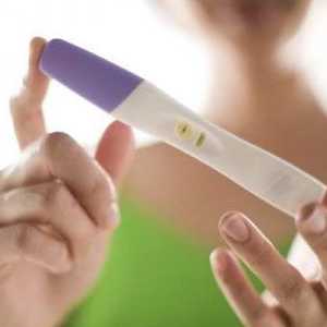 HCG hodnoty mimoděložní těhotenství beremennosti.vnematochnaya stává skutečnou tragédií pro ženu,…