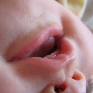 Zařízení pro krmení kojenecká láhev