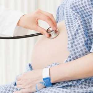 Fallotova tetralogie u těhotných žen