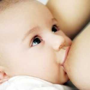 Popraskané bradavky po narození, příčiny, léčby a prevence