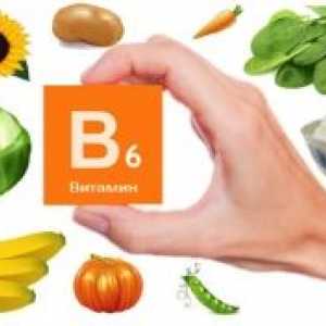 Vitamin B6: selhání, metabolická porucha