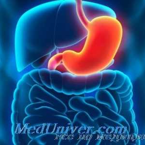 Účinek růstového hormonu (GH), v žaludku. Hodnota nadledvin ACTH