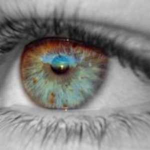 Sklivce oční onemocnění